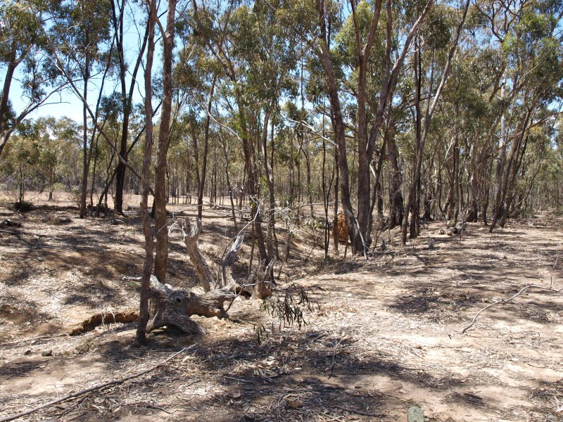 387 Goldsborough Road, Goldsborough VIC 3472