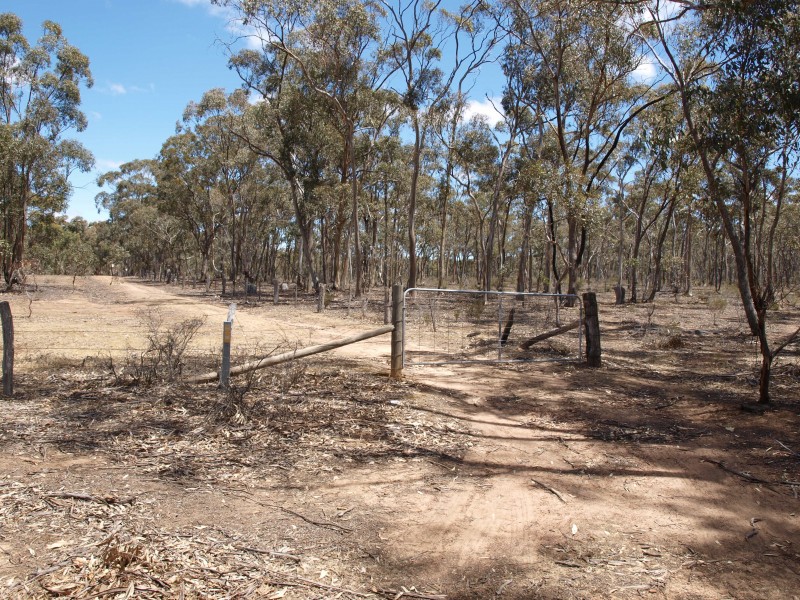 387 Goldsborough Road, Goldsborough VIC 3472