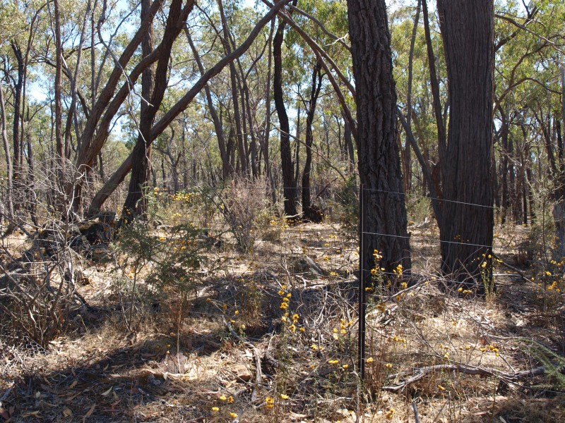 387 Goldsborough Road, Goldsborough VIC 3472