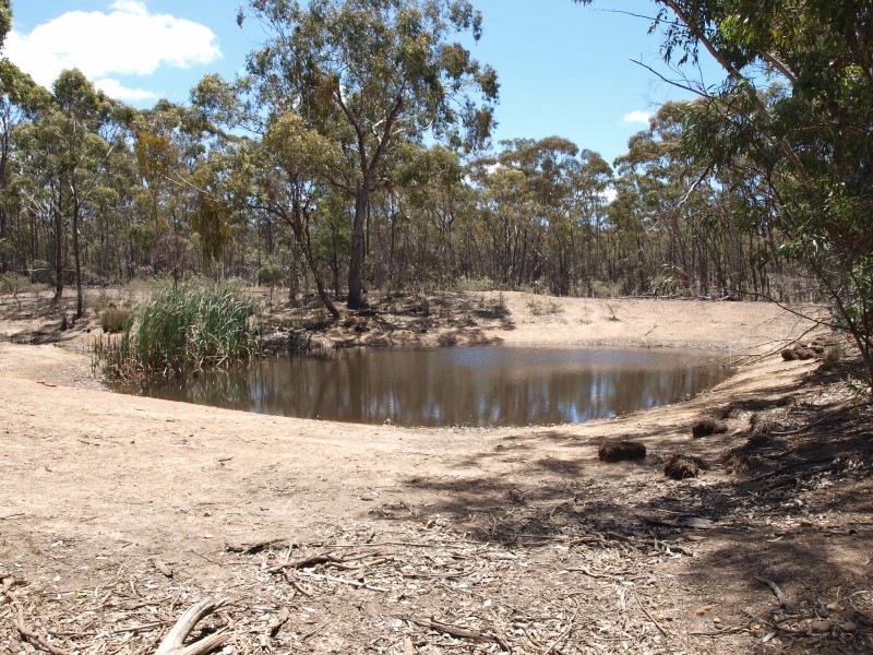 387 Goldsborough Road, Goldsborough VIC 3472