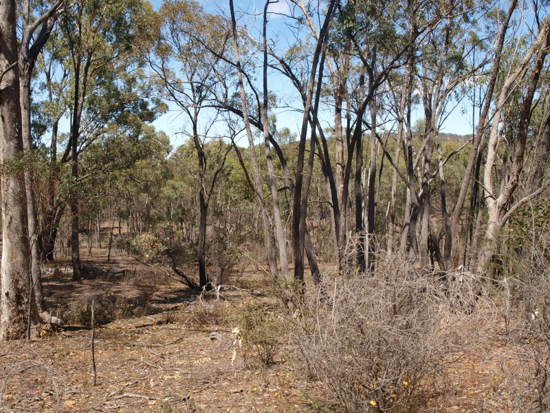 387 Goldsborough Road, Goldsborough VIC 3472