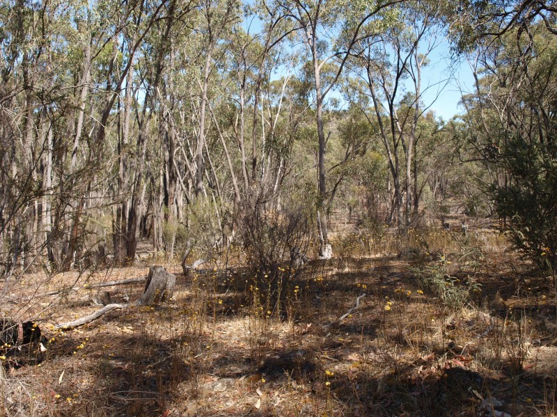 387 Goldsborough Road, Goldsborough VIC 3472