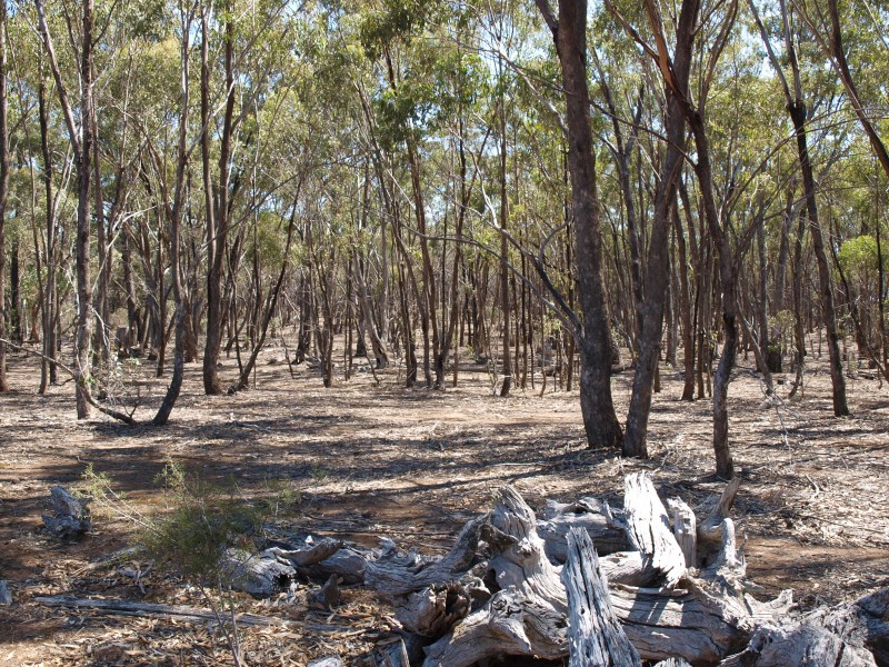 387 Goldsborough Road, Goldsborough VIC 3472