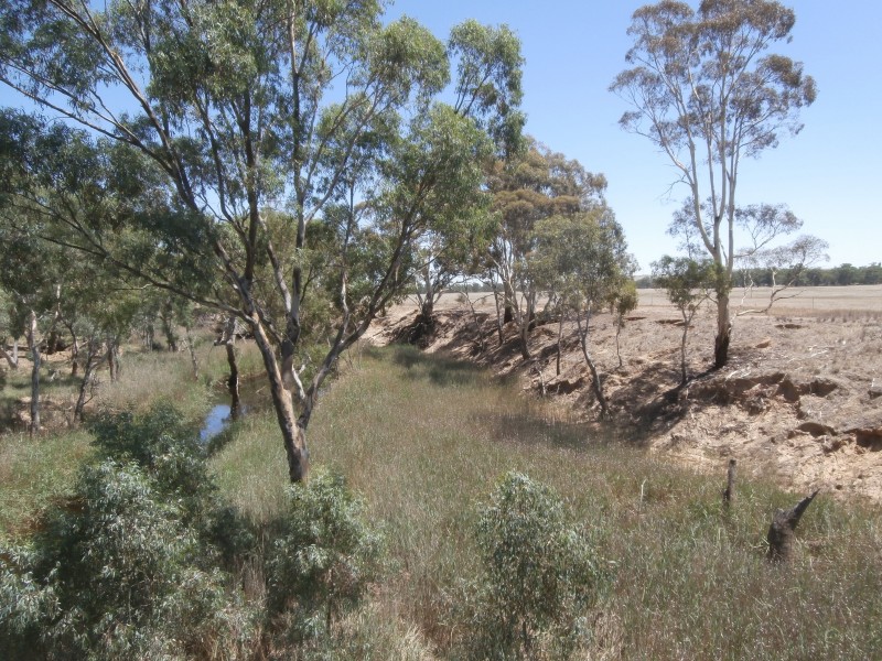 200 Old St Arnaud-Wedderburn Road, Gowar East VIC 3477