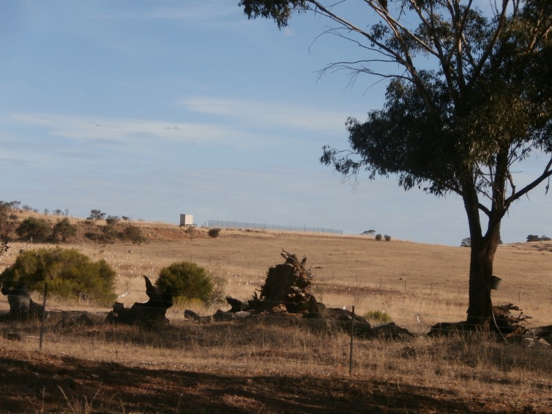 200 Old St Arnaud-Wedderburn Road, Gowar East VIC 3477