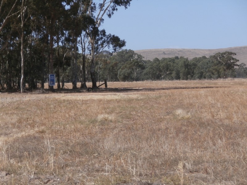 200 Old St Arnaud-Wedderburn Road, Gowar East VIC 3477