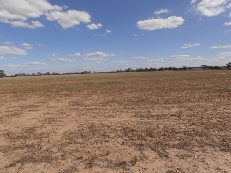 200 Old St Arnaud-Wedderburn Road, Gowar East VIC 3477