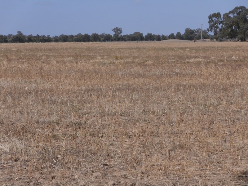 200 Old St Arnaud-Wedderburn Road, Gowar East VIC 3477