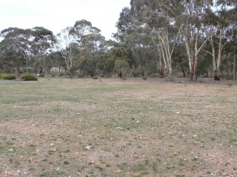 200 Old St Arnaud-Wedderburn Road, Gowar East VIC 3477