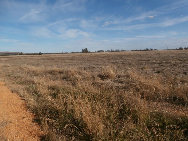 200 Old St Arnaud-Wedderburn Road, Gowar East VIC 3477