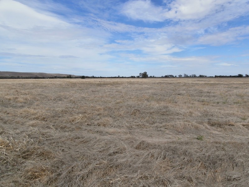 200 Old St Arnaud-Wedderburn Road, Gowar East VIC 3477