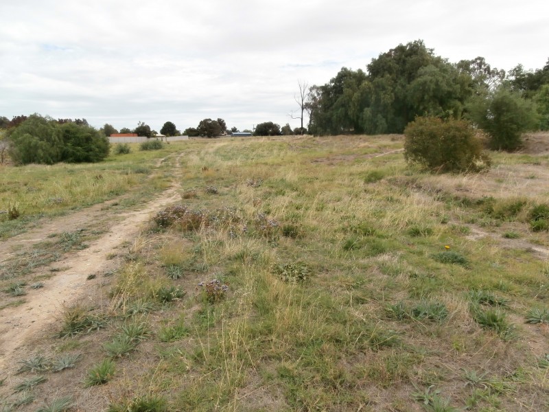 17-35 Poplar Street, Eaglehawk VIC 3556