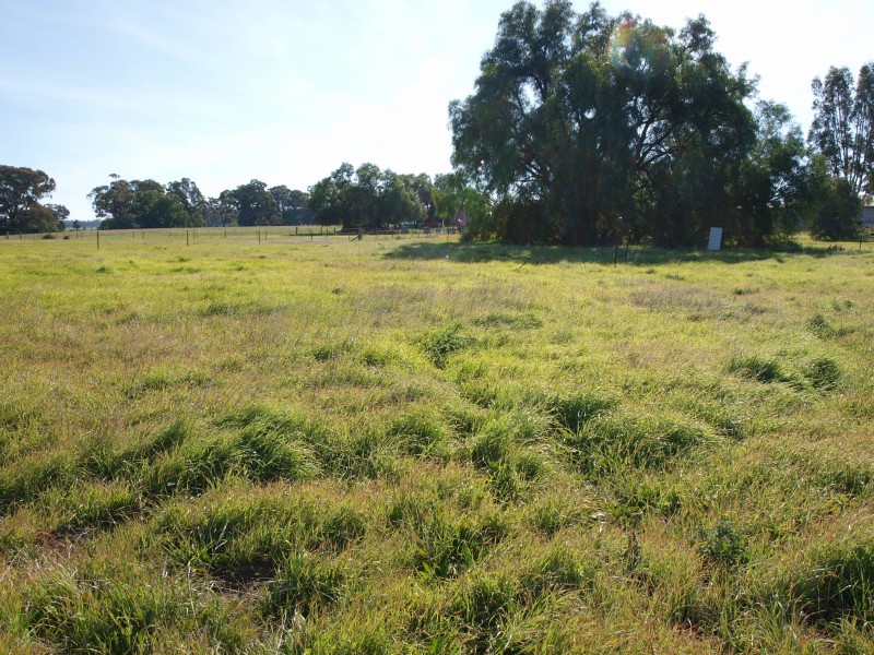 3 Burke Street, Newbridge VIC 3551