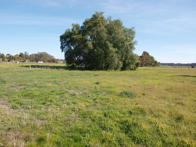 3 Burke Street, Newbridge VIC 3551