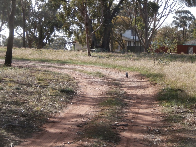 74 Main Street, Sebastian VIC 3556