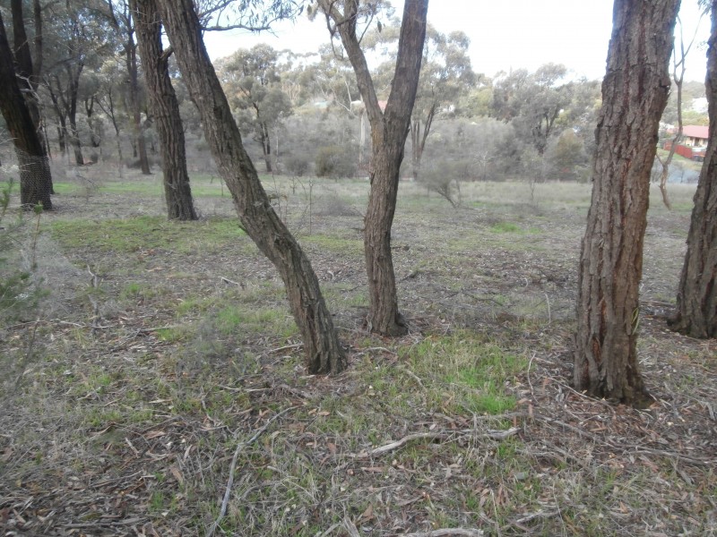 4/17 Williams Road, Maiden Gully VIC 3551