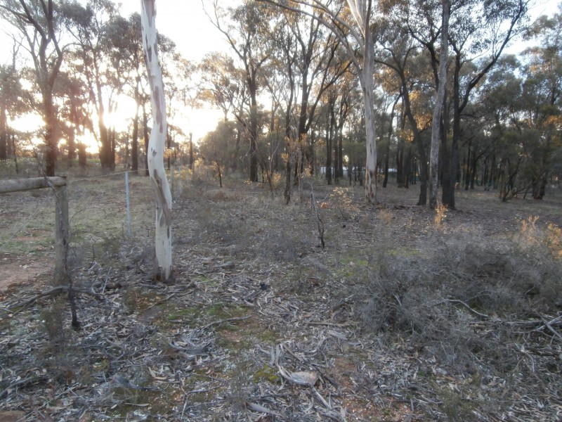 4/17 Williams Road, Maiden Gully VIC 3551