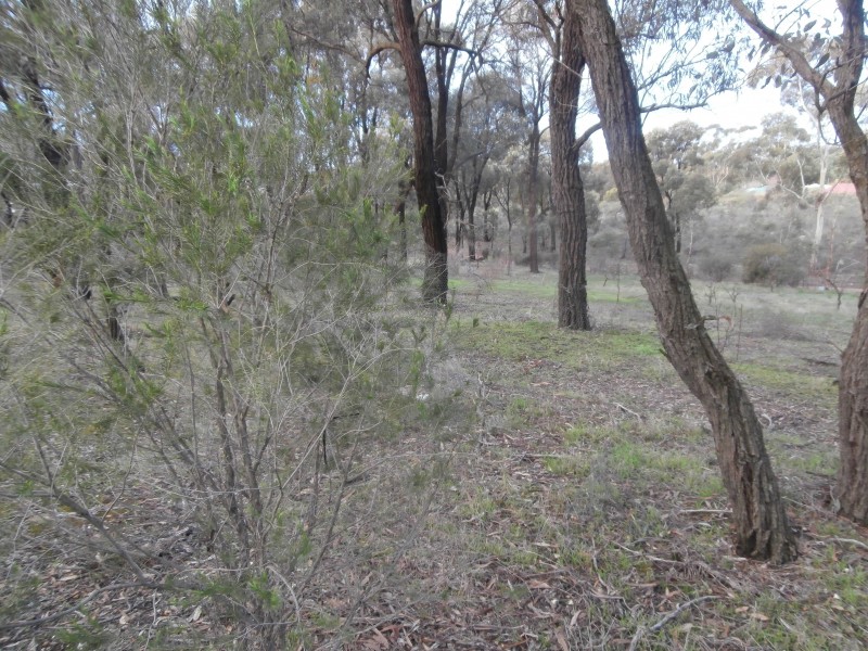 4/17 Williams Road, Maiden Gully VIC 3551