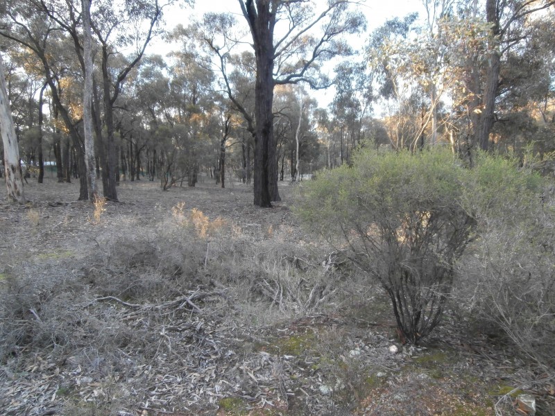 4/17 Williams Road, Maiden Gully VIC 3551