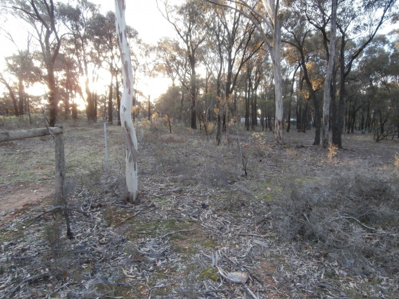 4/17 Williams Road, Maiden Gully VIC 3551