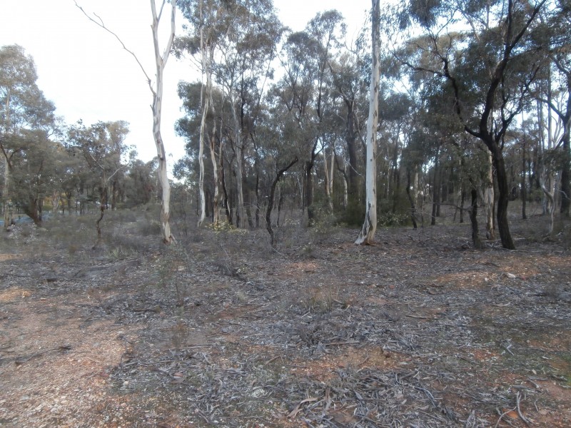 4/17 Williams Road, Maiden Gully VIC 3551