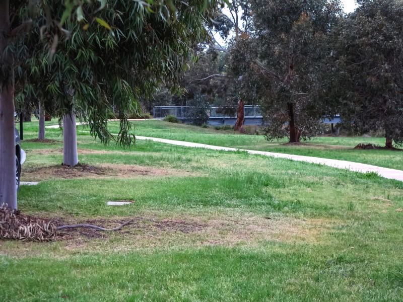 4 Creekside Close, Jackass Flat VIC 3556