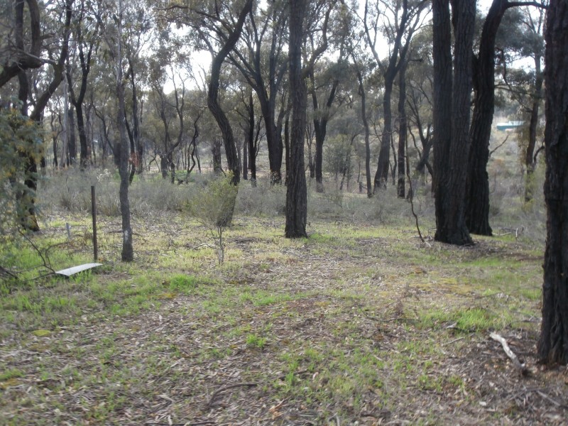 Lot 2  146 Loddon Valley Highway, Sailors Gully VIC 3556