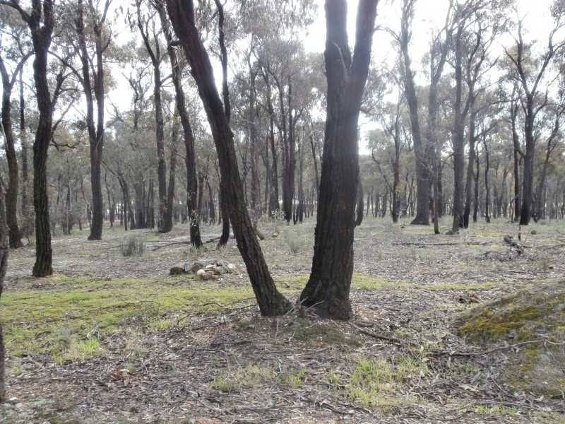 Lot 2  146 Loddon Valley Highway, Sailors Gully VIC 3556