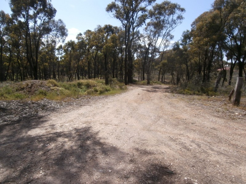 Lot 2  146 Loddon Valley Highway, Sailors Gully VIC 3556