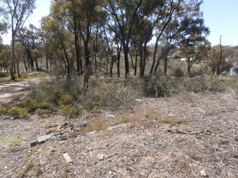 Lot 2  146 Loddon Valley Highway, Sailors Gully VIC 3556