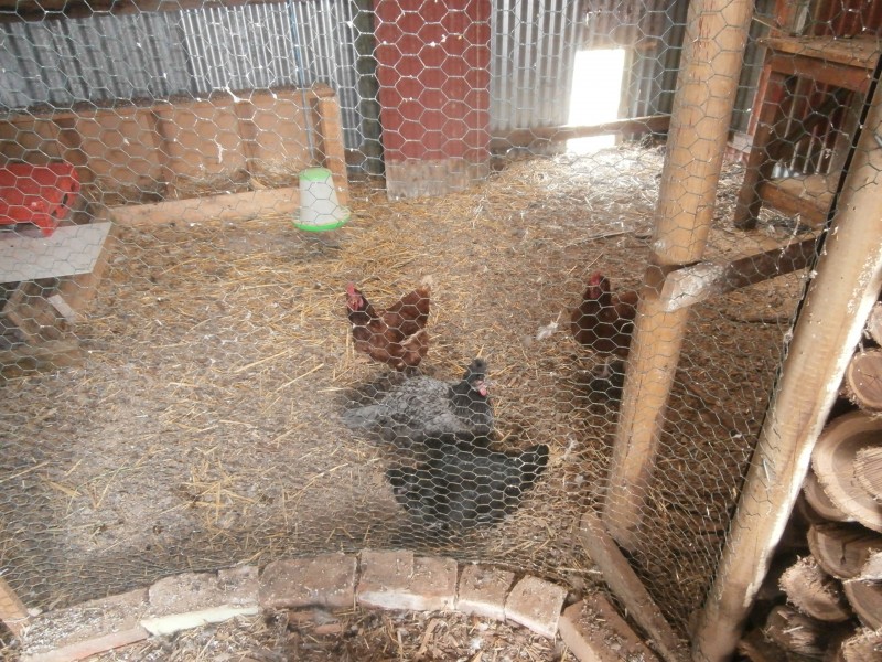 32 Market Street, Newbridge VIC 3551