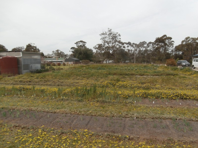 32 Market Street, Newbridge VIC 3551