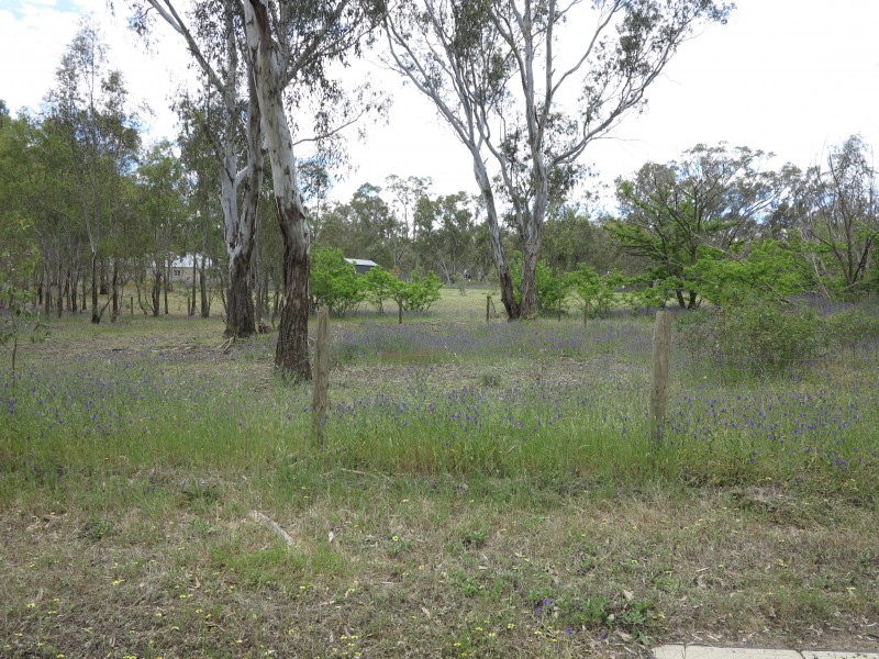 12 Robinson Street, Heathcote VIC 3523