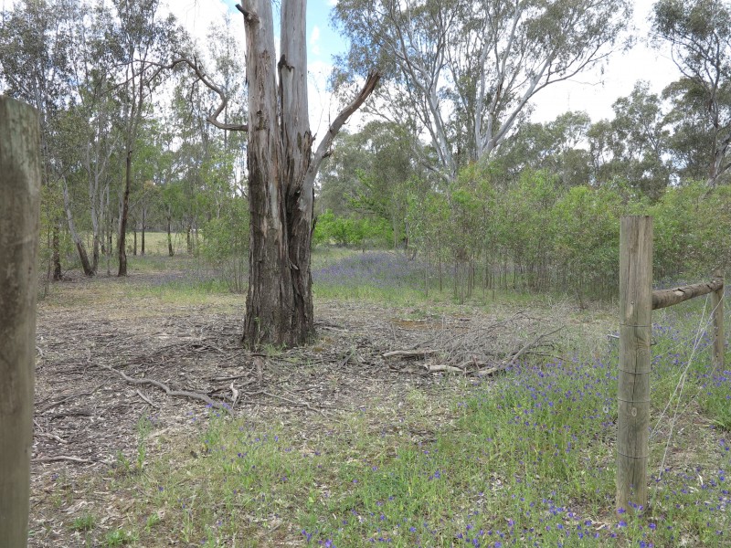 12 Robinson Street, Heathcote VIC 3523