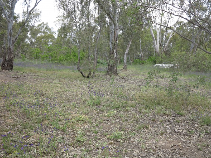 12 Robinson Street, Heathcote VIC 3523