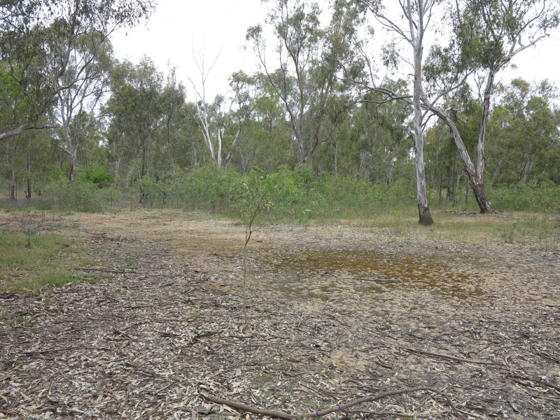 12 Robinson Street, Heathcote VIC 3523