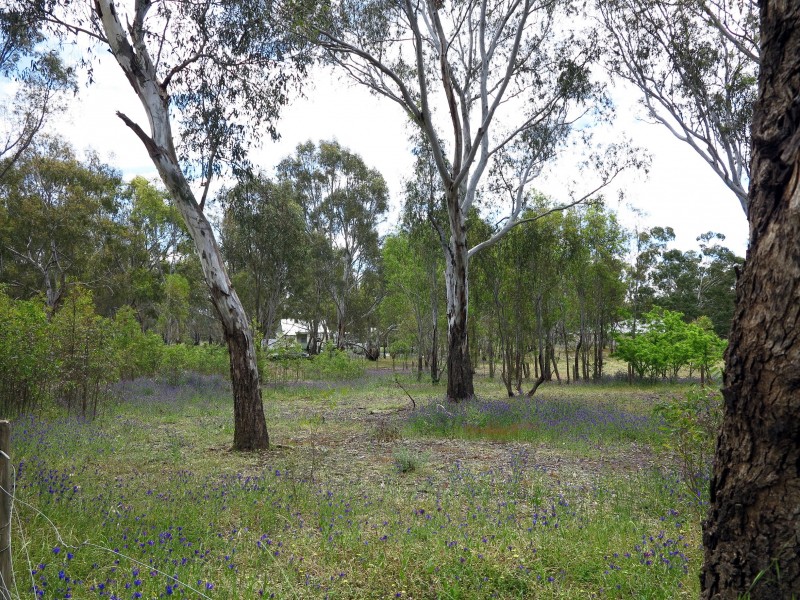 12 Robinson Street, Heathcote VIC 3523