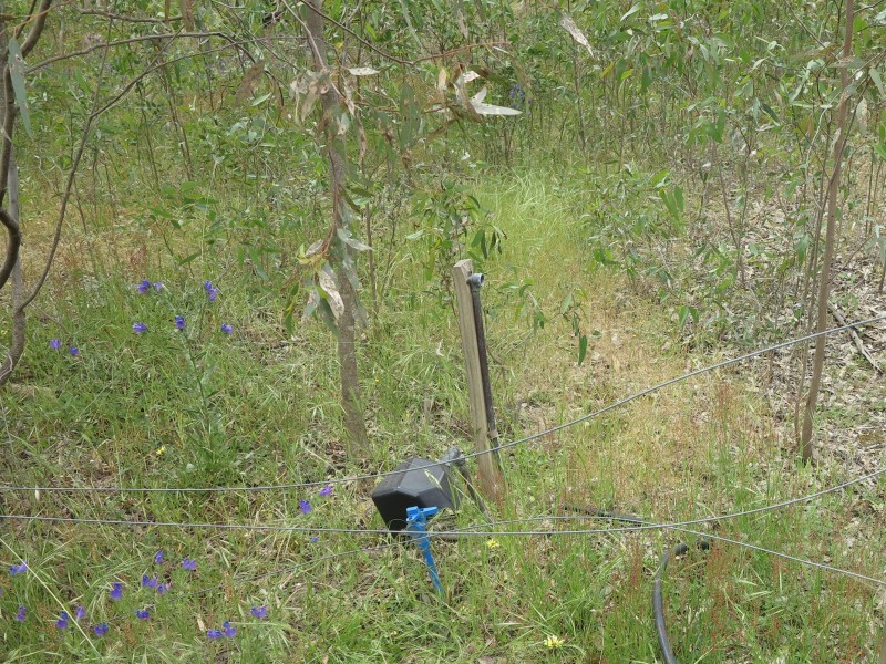 12 Robinson Street, Heathcote VIC 3523