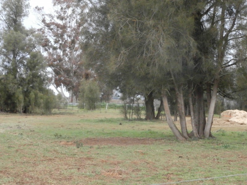 842 Dingee-Serpentine Road, Dingee VIC 3571