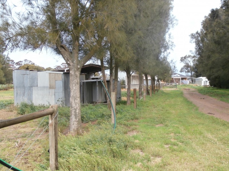 842 Dingee-Serpentine Road, Dingee VIC 3571