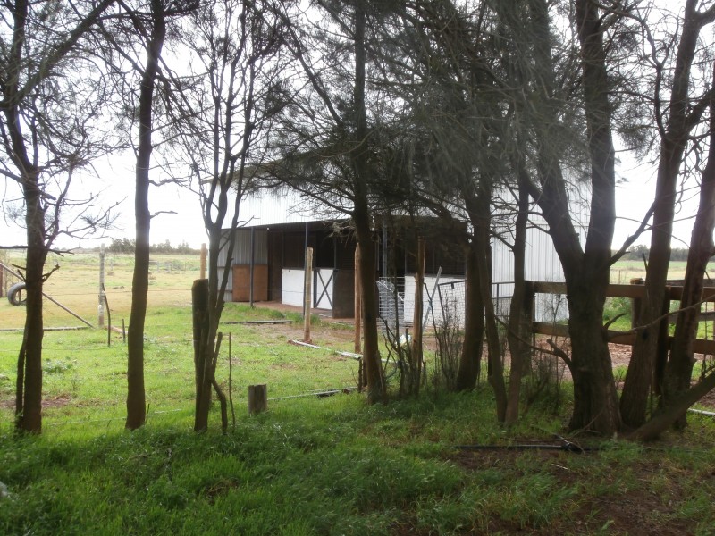 842 Dingee-Serpentine Road, Dingee VIC 3571