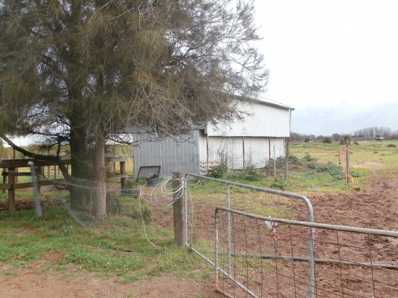 842 Dingee-Serpentine Road, Dingee VIC 3571