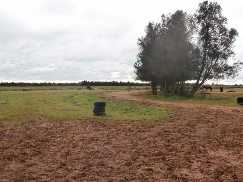 842 Dingee-Serpentine Road, Dingee VIC 3571