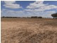 1700 Wedderburn-St Arnaud Road, Gowar East VIC 3477