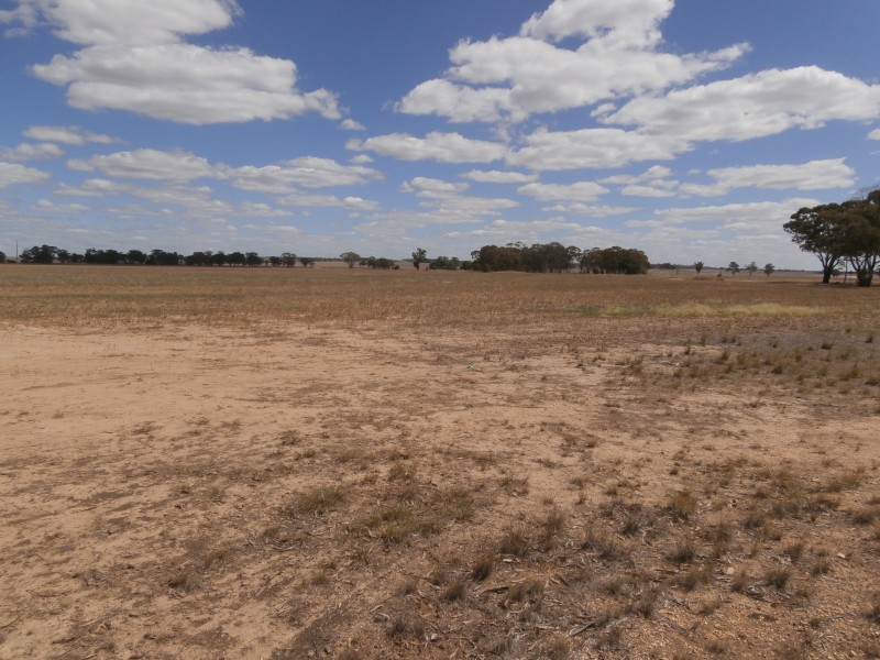 1700 Wedderburn-St Arnaud Road, Gowar East VIC 3477