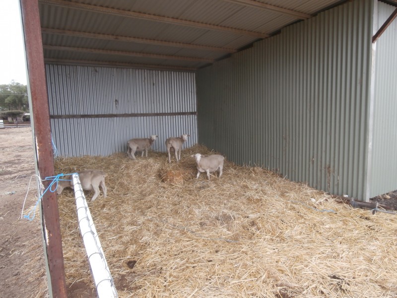 5242 Loddon Valley Highway, Serpentine VIC 3517