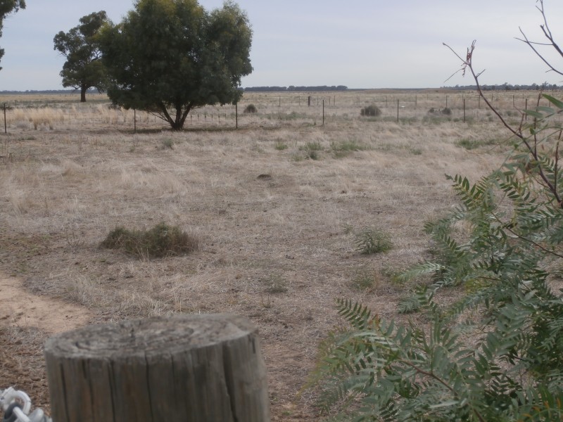 5242 Loddon Valley Highway, Serpentine VIC 3517