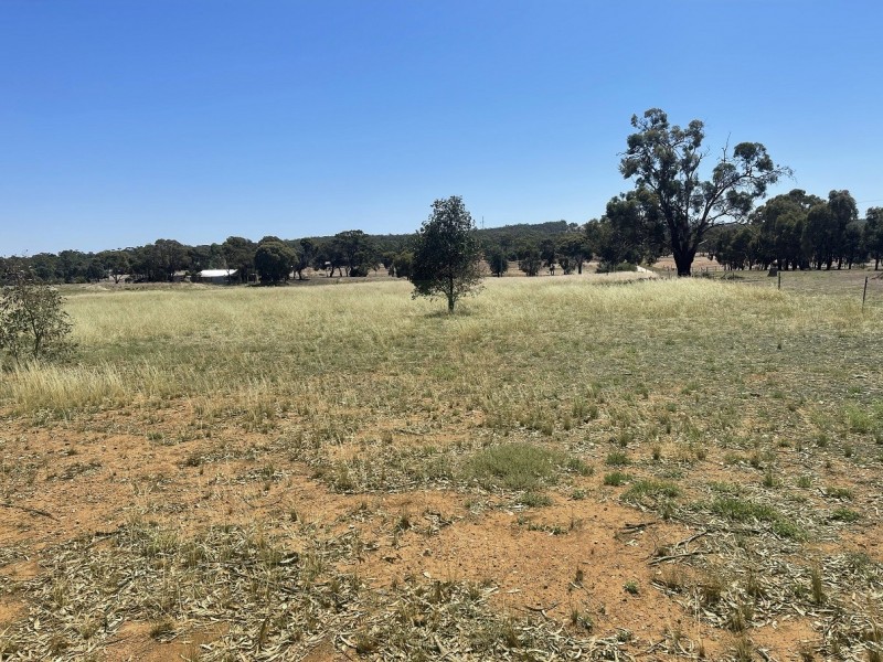 3 Newbold Street, Wedderburn VIC 3518