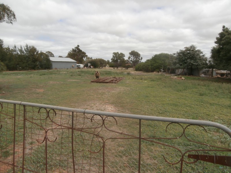 100 Sandhurst Street, Raywood VIC 3570