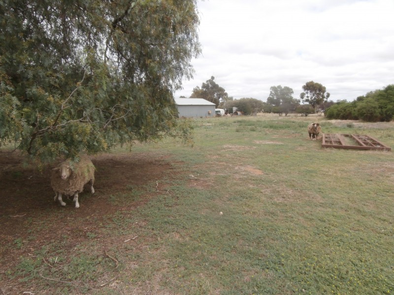 100 Sandhurst Street, Raywood VIC 3570